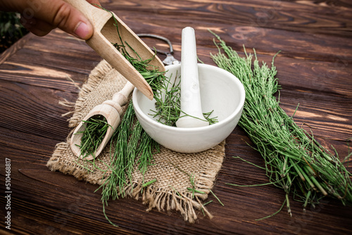 A hand pouring dry grass horsetail, snake grass, puzzlegrass, candock, into a mortar. Equisetum infusions are used as diuretic for edema photo