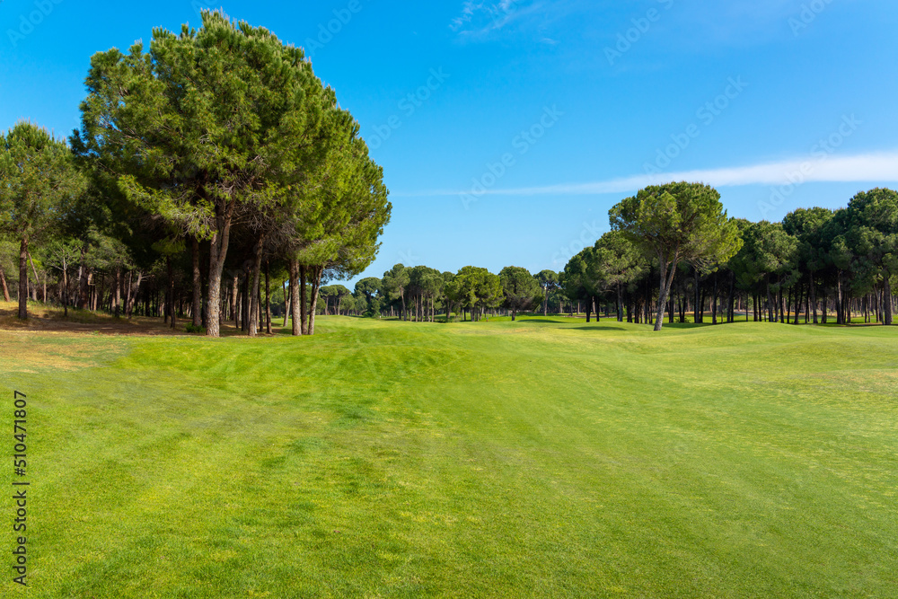 Fototapeta premium Panoramic view of beautiful golf course with pines on sunny day. Golf field with fairway, lake and pine-trees