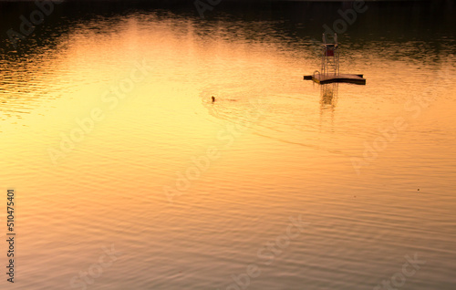 coucher de soleil au bord d'un lac avec des nageurs en été