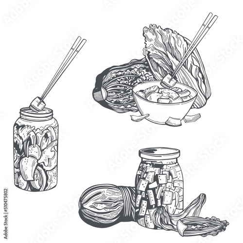 Kimchi. Korean cuisine. Sketch illustration.