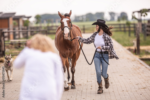 Photography Woman shows the trot of the horse to a veterinary specialist during a consultati