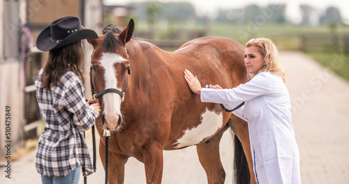 Female vet checks the horse with a stethoscope, listening to the owner that holds the horse © weyo