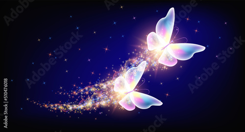 Flying delightful two butterflies with sparkle and blazing trail flying in night sky among shiny glowing stars in night sky. Animal protection day concept.