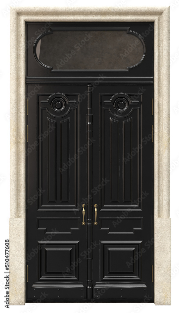 Entrance classic doors for the house Entrance classic doors for the house
