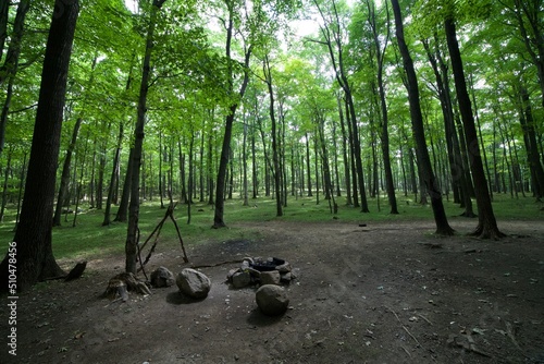 Εκτύπωση καμβά Beautiful campground at Dolly Sods in the West Virginia mountains