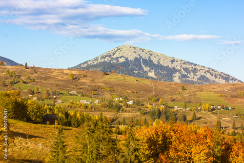 Beautiful mountain scenery with high hills at sunny autumn day. Mountain top among clouds in blue sky. Tall pine trees in autumn forest. Meadows with burned out grass. Nature of Ukrainian Carpathians
