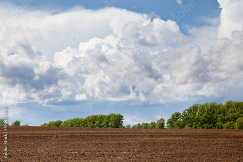 Plowed field and blue sky. agriculture plowed field and blue sky with clouds. Furrows for growing potatoes.