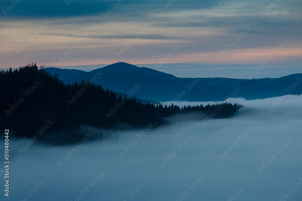 Forests and valleys in the clouds during sunrise in the mountains, Carpathians, Smotrych