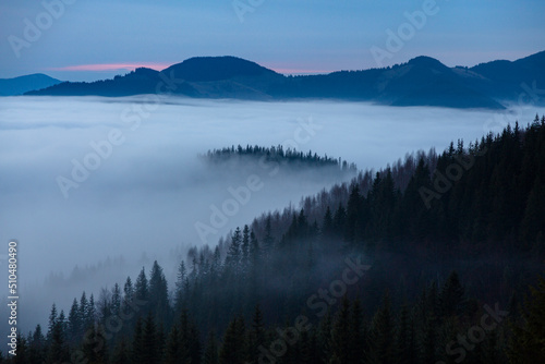 The mountain valley is covered with thick foggy clouds, morning in the Carpathians © almostfuture