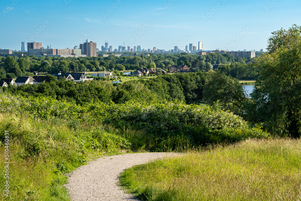 Skyline of Rotterdam seen from observation point Luhrs, which is an artificial hill at the north of the city Skyline of Rotterdam seen from observation point Luhrs, which is an artificial hill at the north of the city