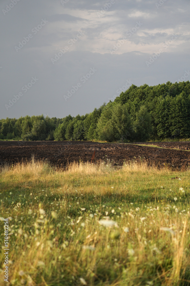 Farm field against the background of the sky and the forest. Rural beautiful landscape Farm field against the background of the sky and the forest. Rural beautiful landscape