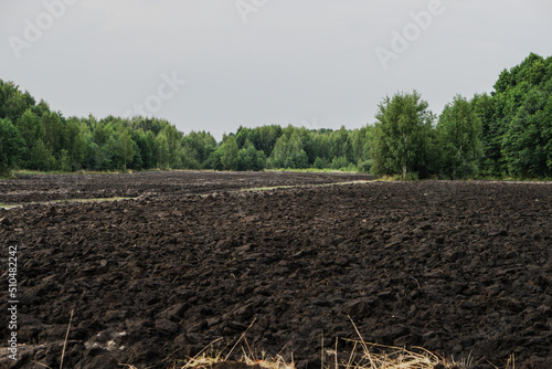Plowed agricultural field for sowing. The process of preparing the soil before planting cereals, legumes, nightshade crops. Farming and food industry