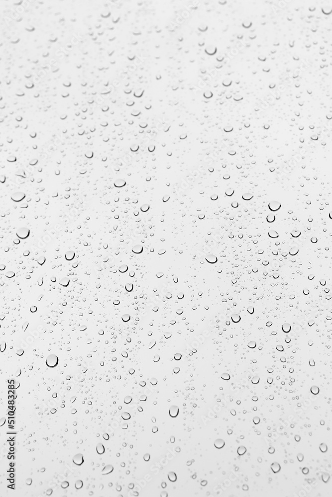 Water droplets on the window Water droplets on the window