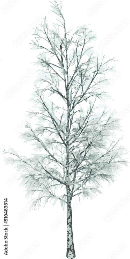 Obraz premium Front view of Plant (Snowy Tree Winter 13) Tree png illustration vector 