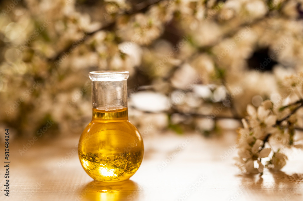 Oil bottle. Fashion photo. Spa concept. Wellness. Wooden table. Oil. Oil bottle. Fashion photo. Spa concept. Wellness. Wooden table. Oil.