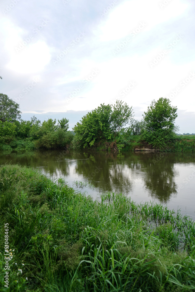 Evening landscape with the last rays of the sun. Morning by the river in summer. Beautiful nature, photo for design Evening landscape with the last rays of the sun. Morning by the river in summer. Beautiful nature, photo for design