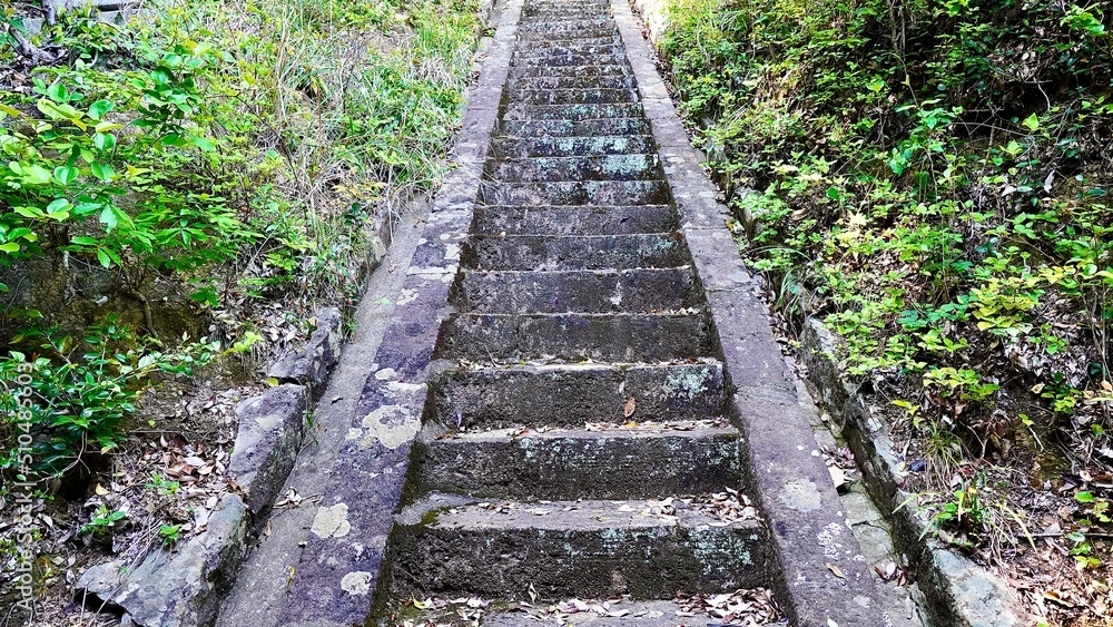 Obraz premium 対馬市にある霹靂(いかづち)神社の石段