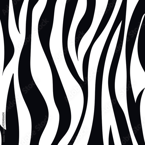 Textura o fondo de piel de zebra color negro con fondo blanco para portadas