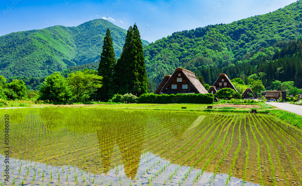 世界遺産 白川郷