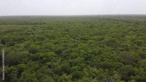 dron aereo merida mexico naturaleza verde plantas dia carretera salvaje  photo