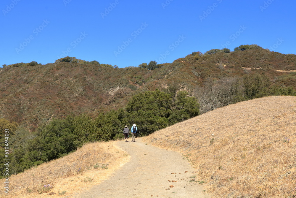 Hikers on the Las Trampas ridge in summer near Danville, California