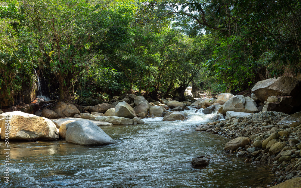 Lots of Vegetation, Plants, Rocks at Waterfalls in Cisneros, Antioquia, Colombia Lots of Vegetation, Plants, Rocks at Waterfalls in Cisneros, Antioquia, Colombia