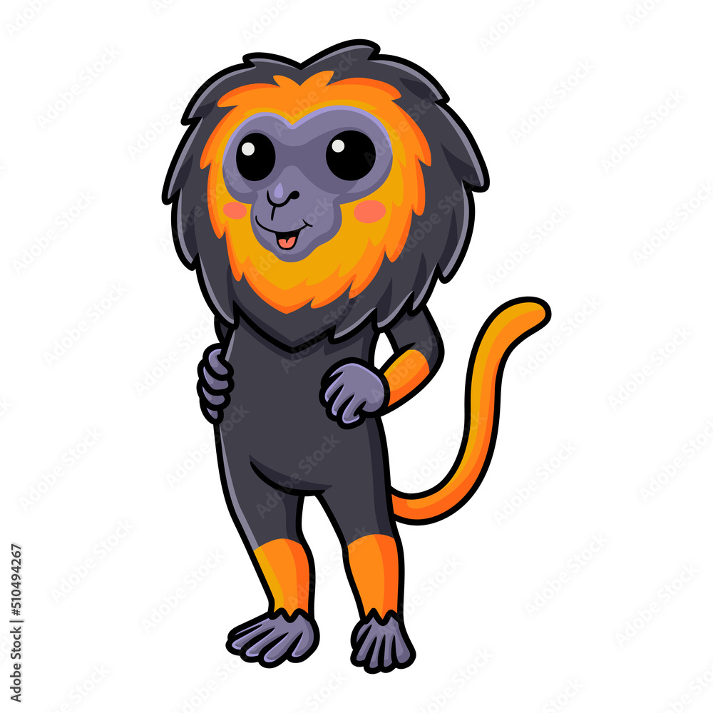 Cute little lion monkey cartoon standing