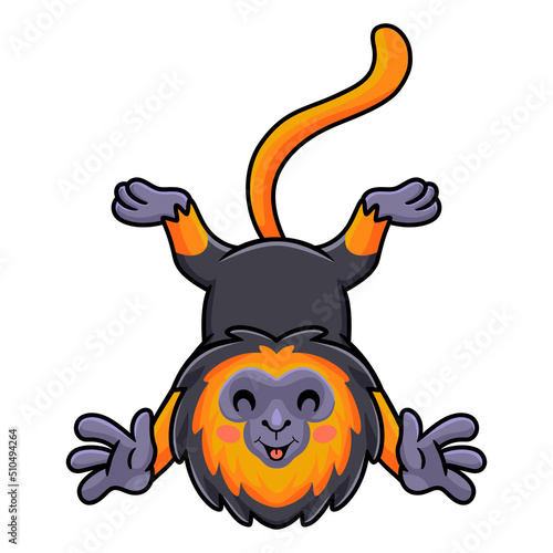 Cute little lion monkey cartoon posing