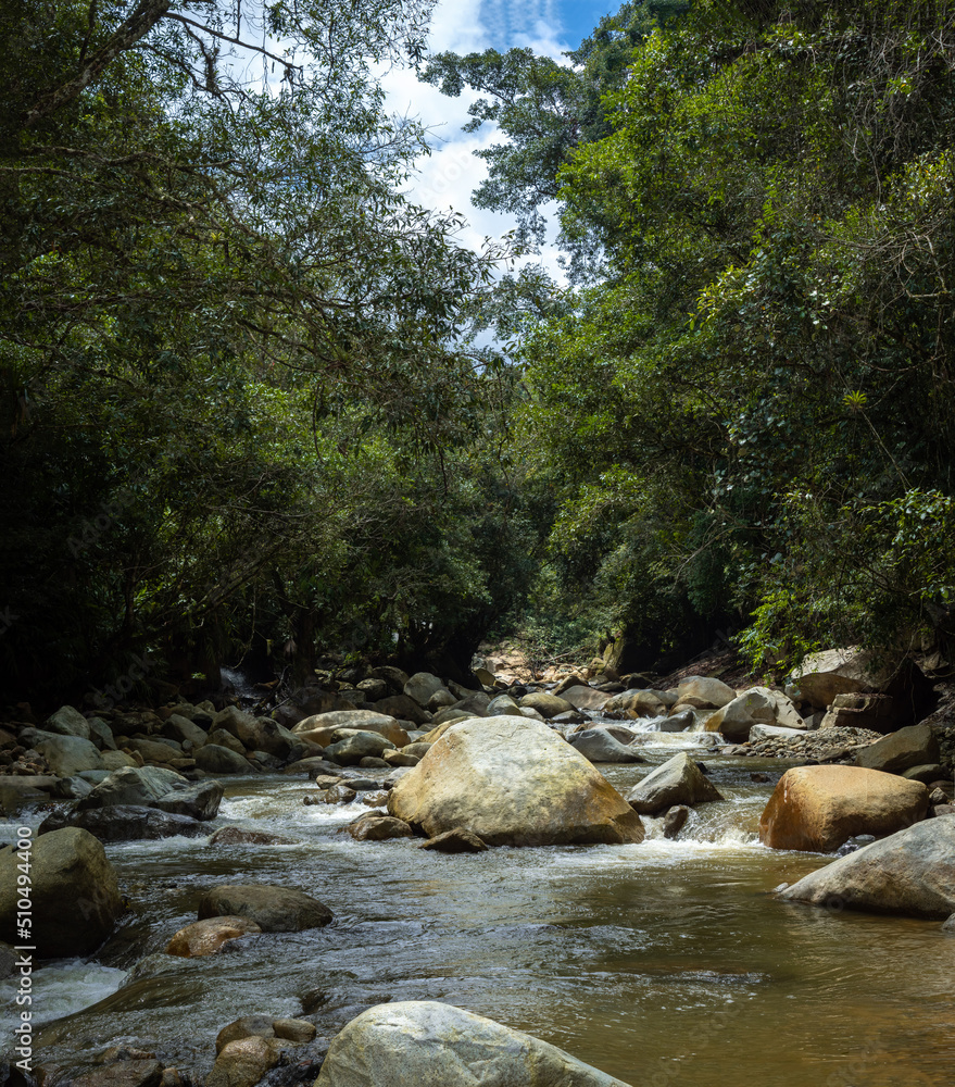 River Surrounded by many Rocks, Plants, Trees in Cisneros, Antioquia, Colombia River Surrounded by many Rocks, Plants, Trees in Cisneros, Antioquia, Colombia