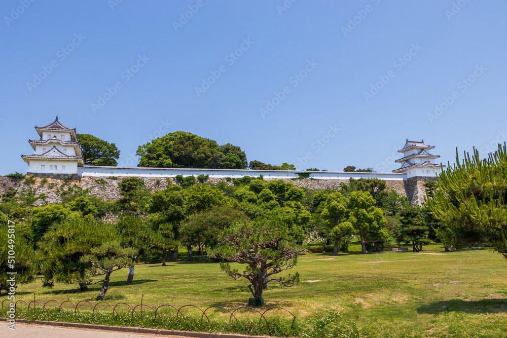 Fototapeta premium 明石城と芝生広場