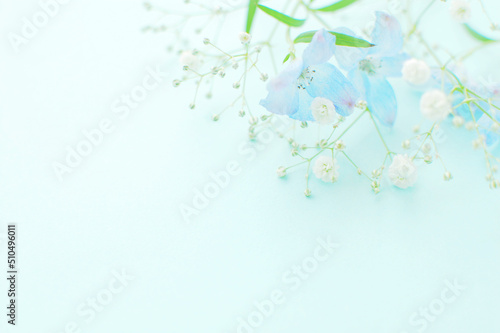 Fototapeta Naklejka Na Ścianę i Meble -  青い花の背景