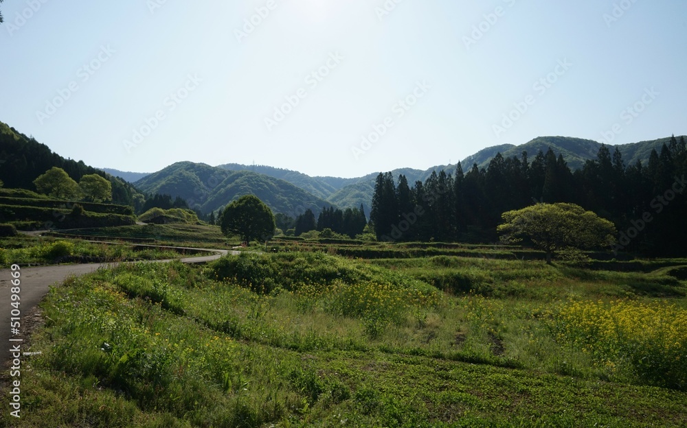 日本の青鬼集落。周囲を山に囲まれた場所で、田んぼや畑が広がるノスタルジックな風景。