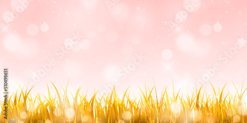 紅葉　草原　秋　背景