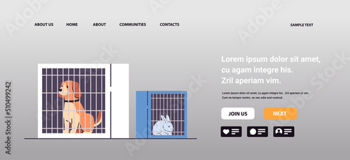 dog and rabbit sitting in cages experimental animals biological genetic engineering research at laboratory