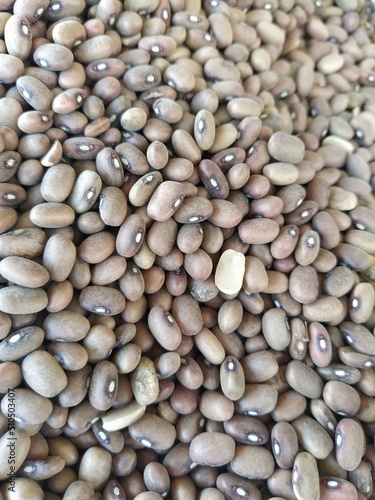 Wallpaper Mural Beans and grains background Torontodigital.ca