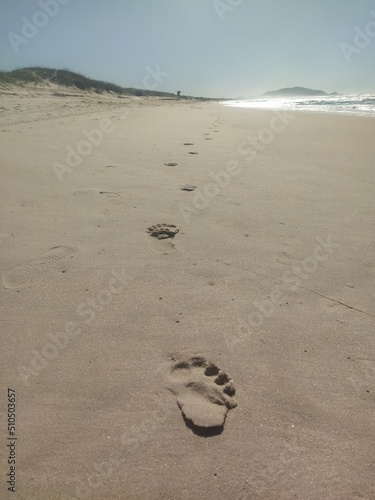 Wallpaper Mural footprints in sand Torontodigital.ca