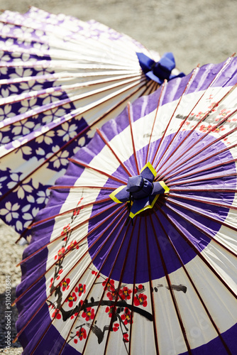 Japanese traditional umbrella,Old umbrella