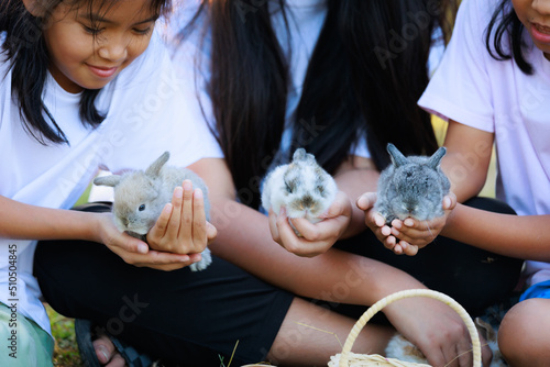 Group of asian girls friendship holding adorable bunny fluffy in hand playing with baby rabbits in the garden with tenderness and love. People take care and play with a pet.