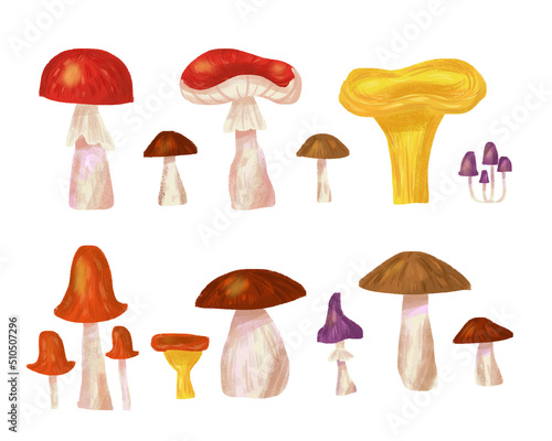 Set of forest mushrooms on white background. Amanitas, grebes, chanterelles and other wild mushrooms botanical illustration.