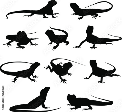 Vector silhouettes of lizard