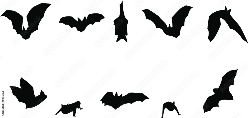 Fototapeta premium Vector silhouettes of bat