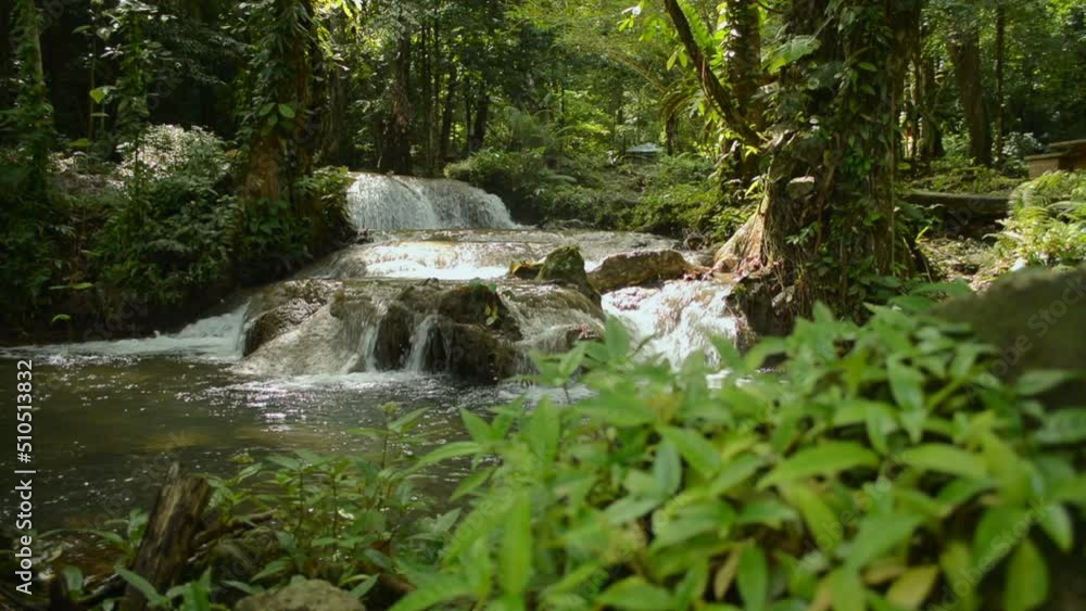 Water stream flowing over the rocks under morning sunlight among green plants in tropical rainforest. Tranquil scene of small cascade in the jungle. Beauty in nature. Phang Nga Province. Thailand. Water stream flowing over the rocks under morning sunlight among green plants in tropical rainforest. Tranquil scene of small cascade in the jungle. Beauty in nature. Phang Nga Province. Thailand.
