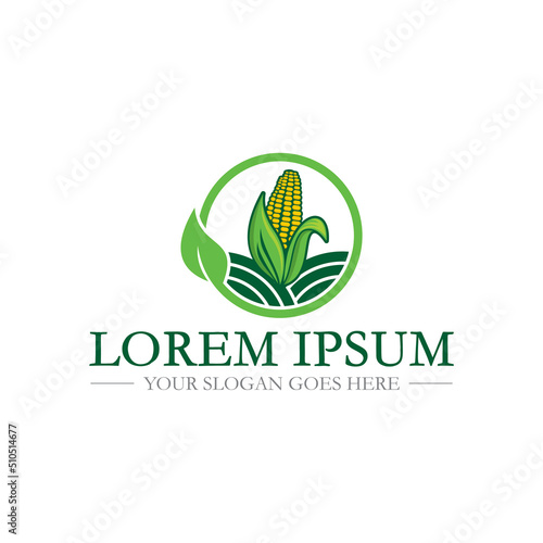 farm logo , agriculture logo vector