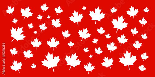 Canada Day maple leaves background. Pattern white leaves for Canada Day 1st July.