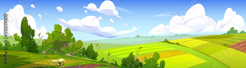 Rural landscape with green agriculture fields, path and bushes with flowers. Vector cartoon panoramic illustration of summer countryside with pastures, grass and farmland