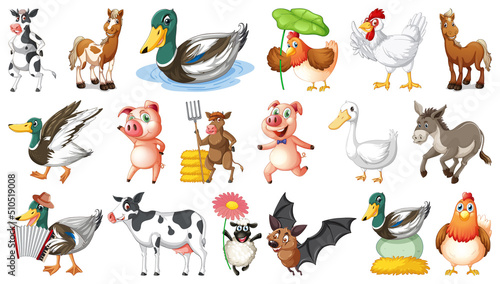 Farm animals on white background