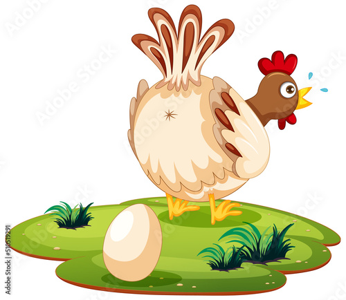 Cute chicken laying eggs