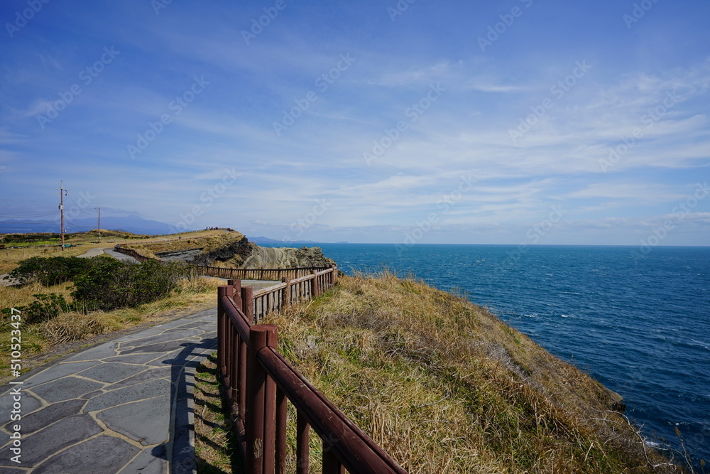 Obraz premium fascinating walkway at seaside cliff