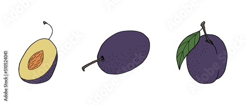 Plum set. Vector illustration. Drawn by hand. Isolated.