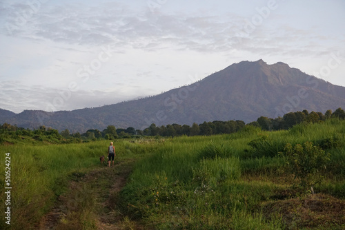 A Woman walking with the dogs at Plantation in Banyuwangi, East Java, Indonesia.
